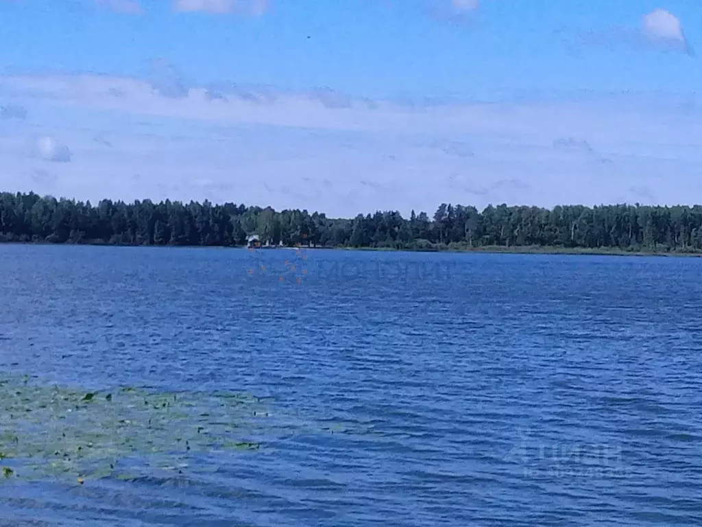 Участок в Нижегородская область, Семеновский городской округ, д. Озеро ... - Фото 0