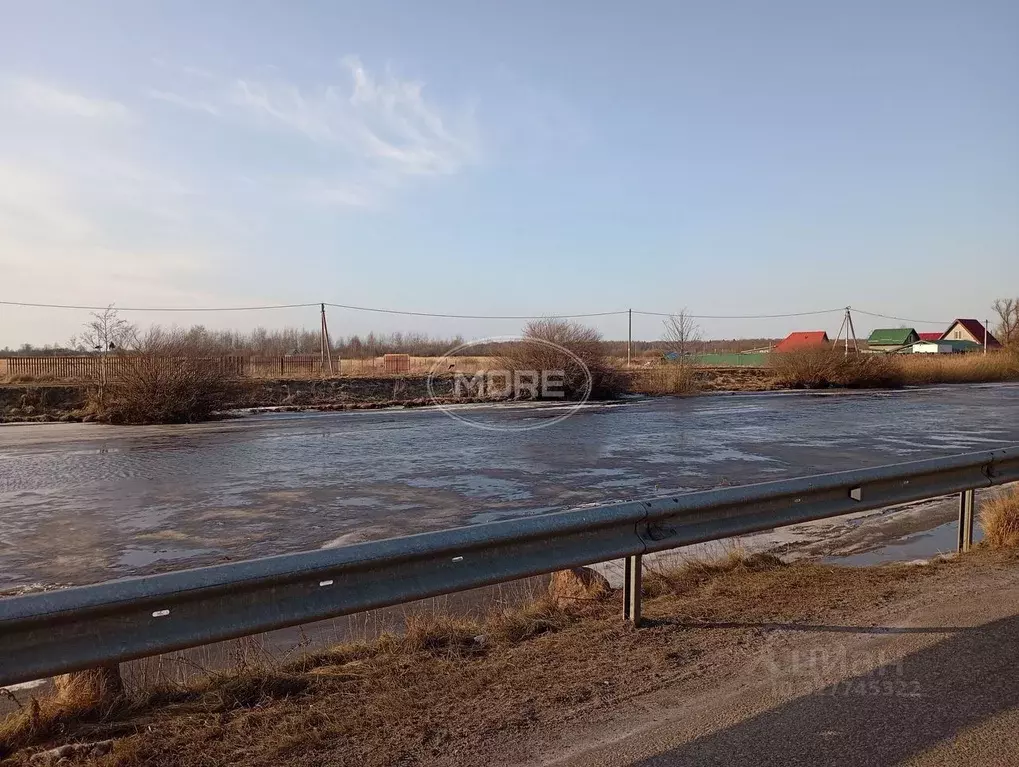 Участок в Калининградская область, Полесск Прохладная ул., 7Д (12.0 ... - Фото 2