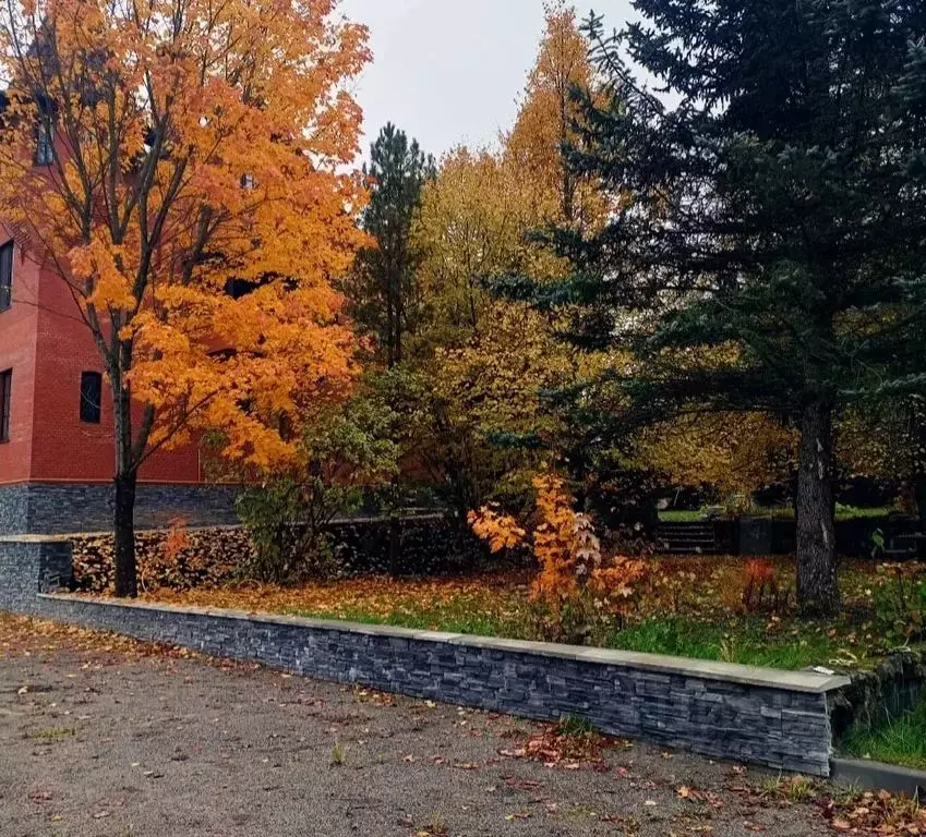 Комната Московская область, Химки городской округ, д. Подолино ... - Фото 1