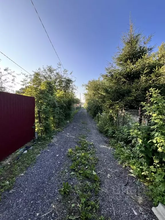 Участок в Нижегородская область, Нижний Новгород Маяк СТ, 995 (6.11 ... - Фото 2