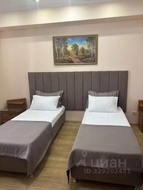 Комната Краснодарский край, Геленджик ул. Островского, 10 (10.0 м) - Фото 2