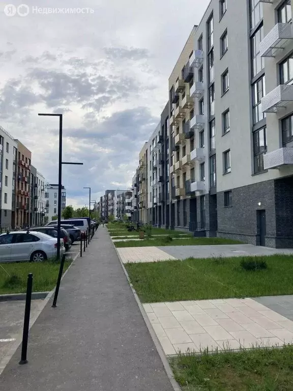 Помещение свободного назначения (64 м) - Фото 1
