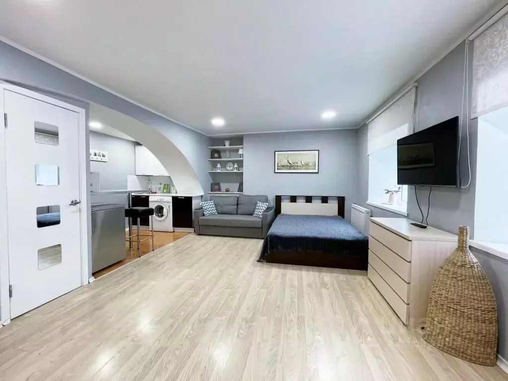 1-к кв. Санкт-Петербург Литейный просп., 49 (35.0 м) - Фото 2