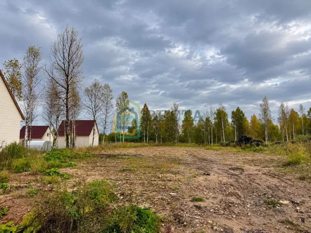 Участок в Ленинградская область, Гатчинский муниципальный округ, д. ... - Фото 1
