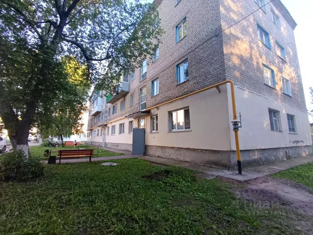 1-к кв. Башкортостан, Чишмы рп ул. Строительная, 7 (26.0 м) - Фото 1