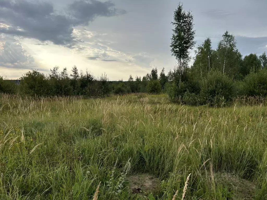 Участок в Владимирская область, Карабаново Александровский район,  ... - Фото 0