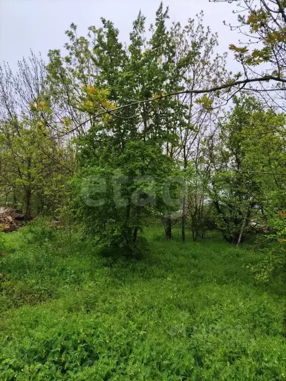 Участок в Краснодарский край, Новороссийск городской округ, Дюрсо СТ  ... - Фото 0