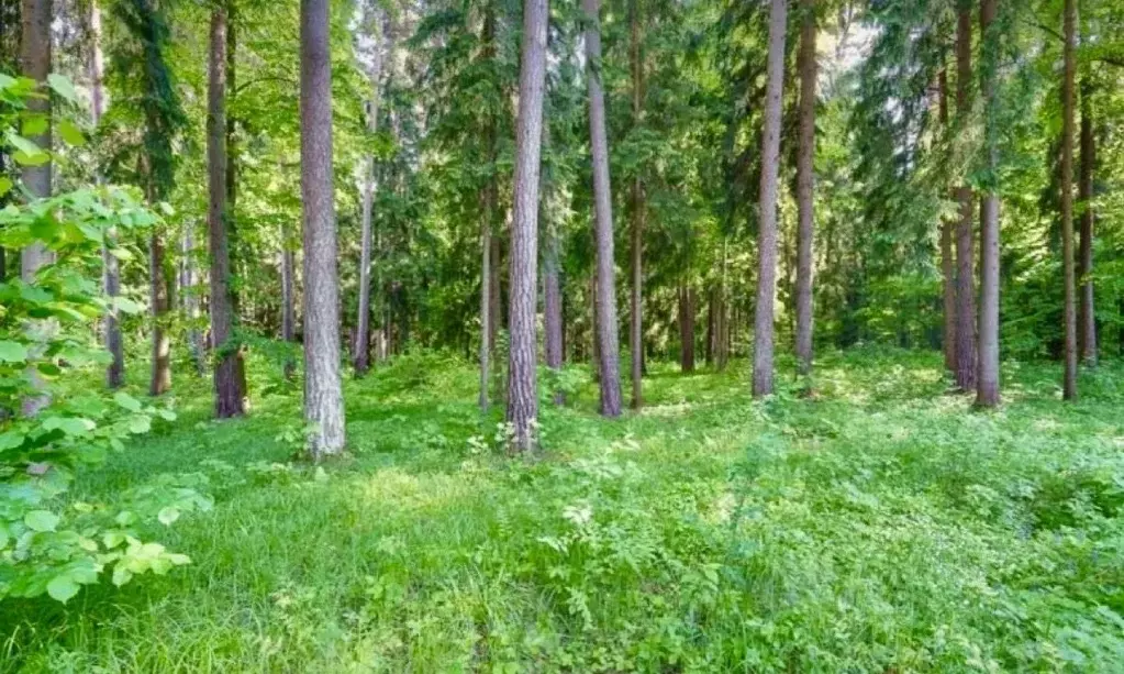 Участок в Московская область, Одинцовский городской округ, пос. ... - Фото 1
