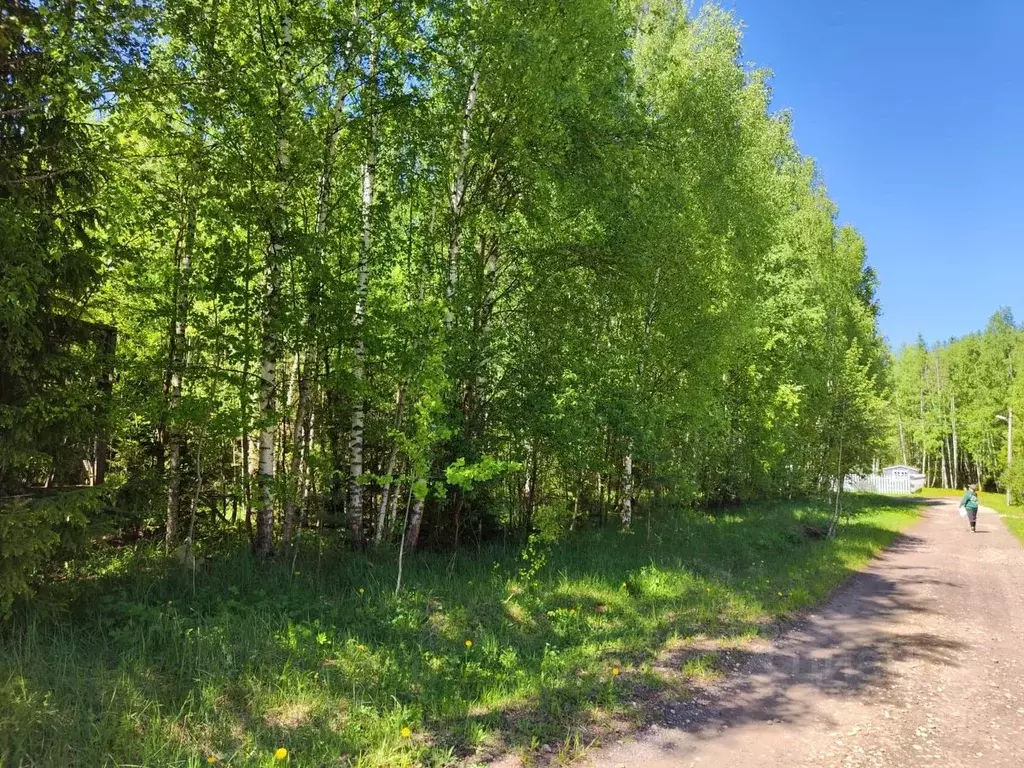 Участок в Владимирская область, Александровский район, ... - Фото 0