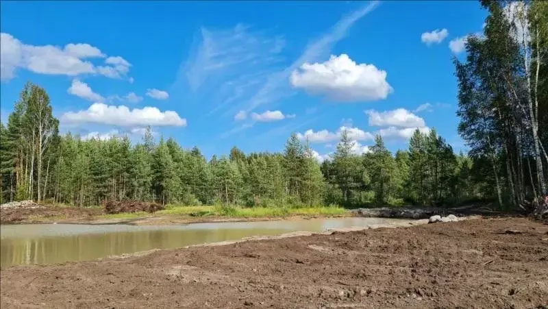 Участок в Ленинградская область, Всеволожское городское поселение, ... - Фото 1