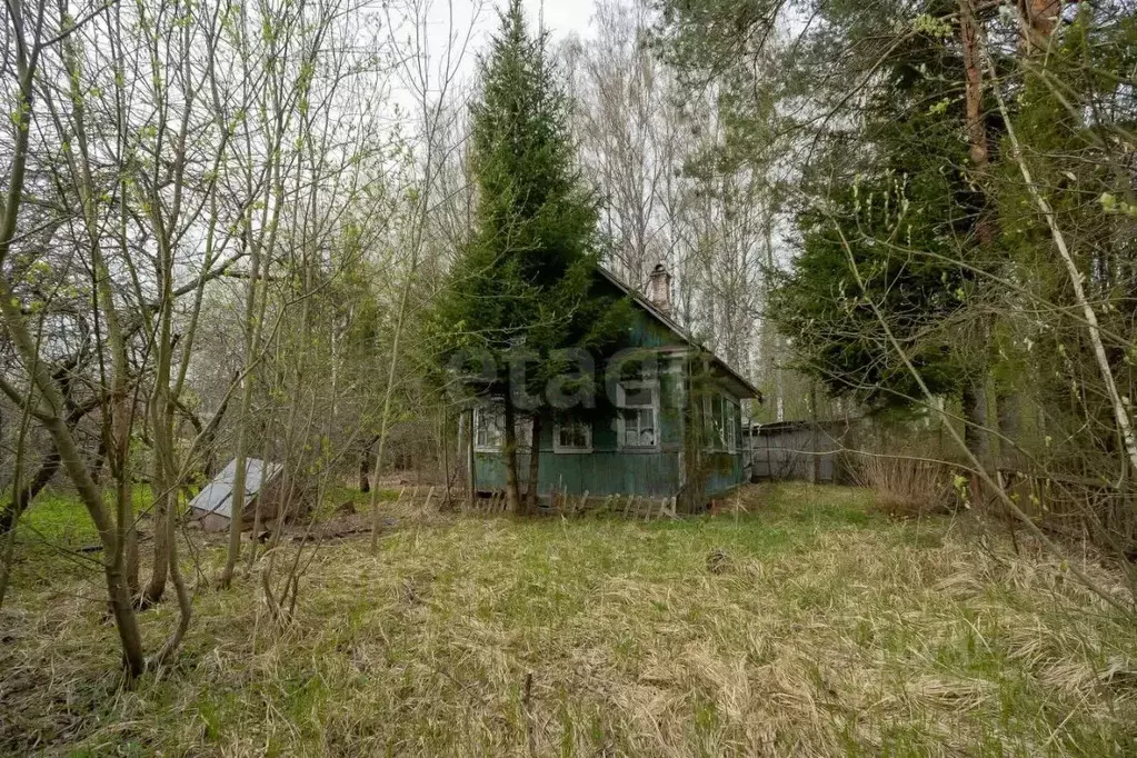 Участок в Ленинградская область, Кировское городское поселение, ... - Фото 1