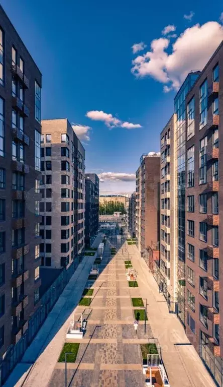 Продам помещение свободного назначения, 277,9 кв.м - Фото 0