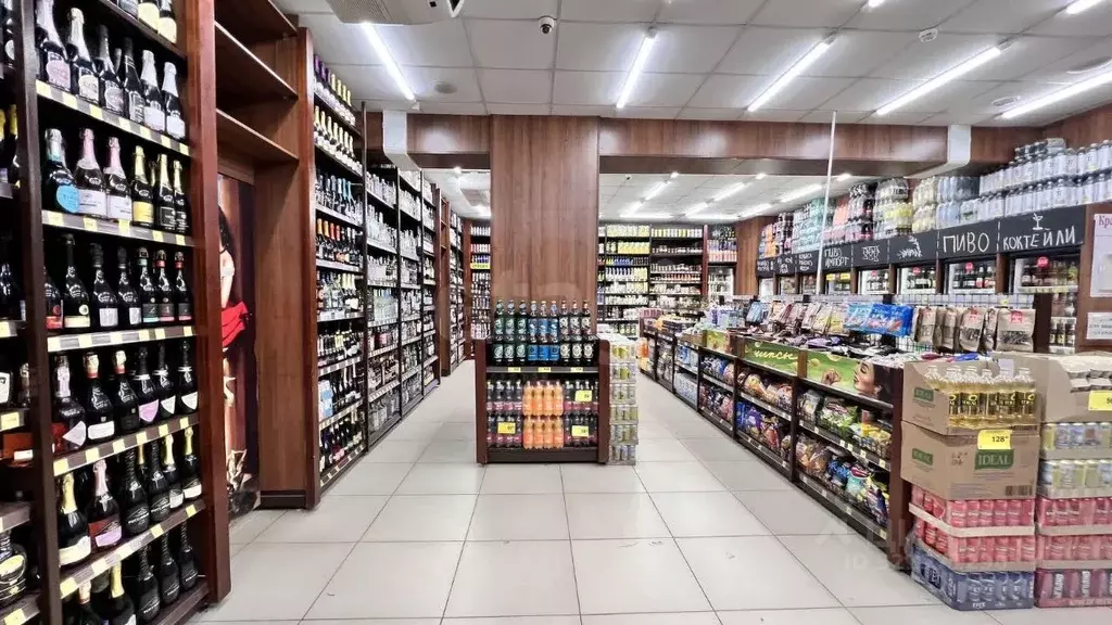 Помещение свободного назначения в Московская область, Воскресенск ... - Фото 2