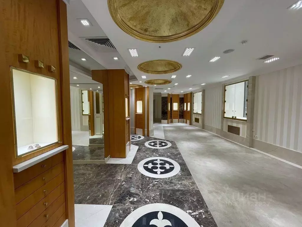 Помещение свободного назначения в Москва Кутузовский просп., 5/3 (208 ... - Фото 2