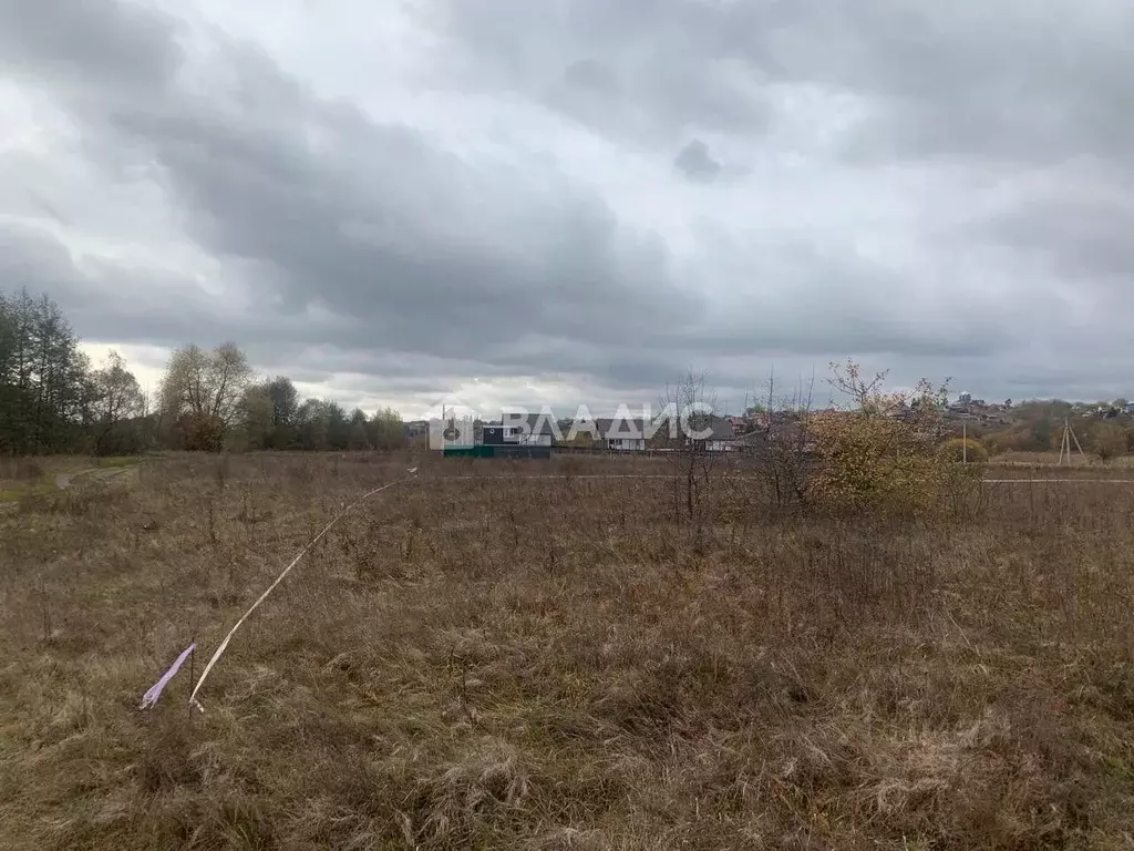 Участок в Воронежская область, Рамонский район, с. Березово  (35.0 ... - Фото 1