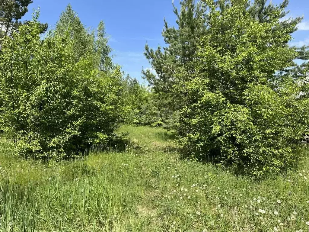 Участок в Свердловская область, Белоярский городской округ, с. ... - Фото 1