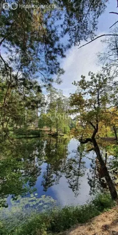 Участок в село Наумовка, Центральная улица, 25 (25 м) - Фото 0