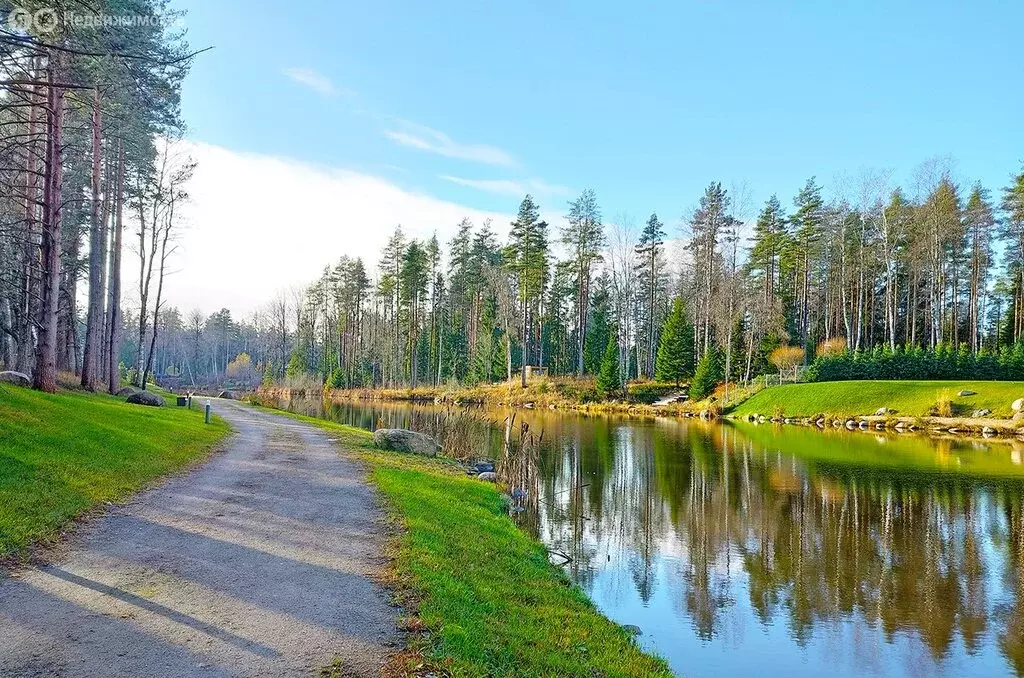 Участок в посёлок Ленинское, КП Репинская усадьба-1 (23.81 м) - Фото 1