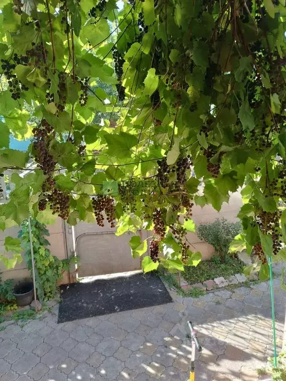 Дом в Тамбовская область, Тамбов Карьерная ул., 85 (214 м) - Фото 1