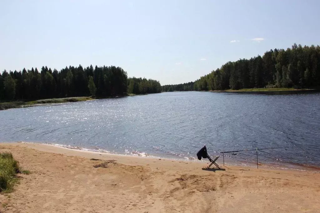 Участок в Ярославская область, Мышкинский муниципальный округ, ... - Фото 1