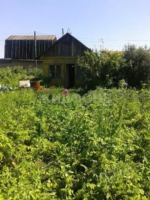Дом в Новосибирская область, Новосибирский район, Верх-Тулинский ... - Фото 0