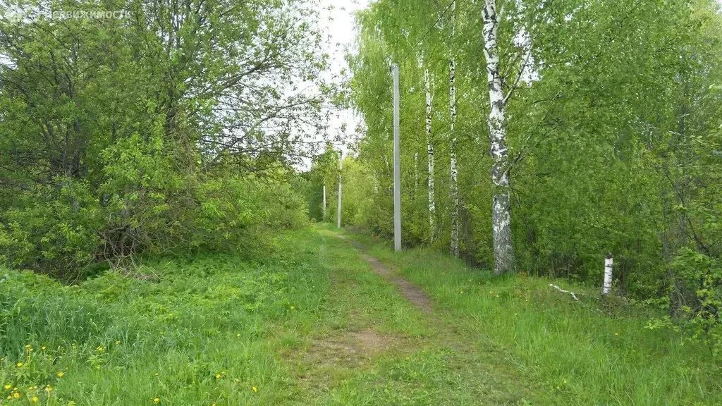 Участок в Тверская область, Кимрский муниципальный округ, деревня ... - Фото 1