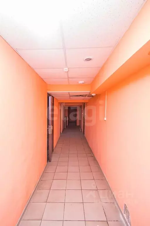 Помещение свободного назначения в Бурятия, Улан-Удэ Бийская ул., 87 ... - Фото 2