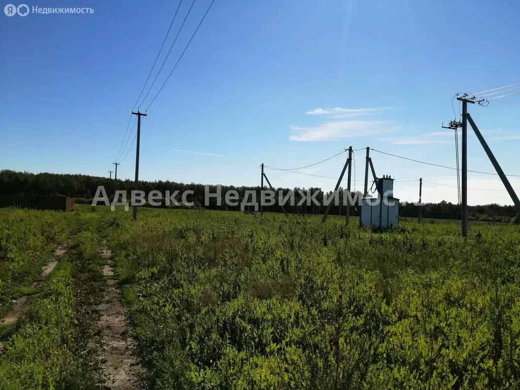 Участок в Тюменский район, село Червишево (8 м) - Фото 1