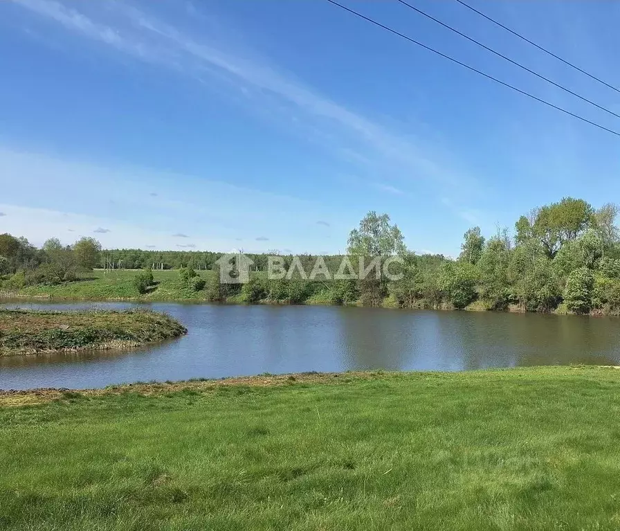 Участок в Московская область, Шаховская муниципальный округ, с. Белая ... - Фото 1