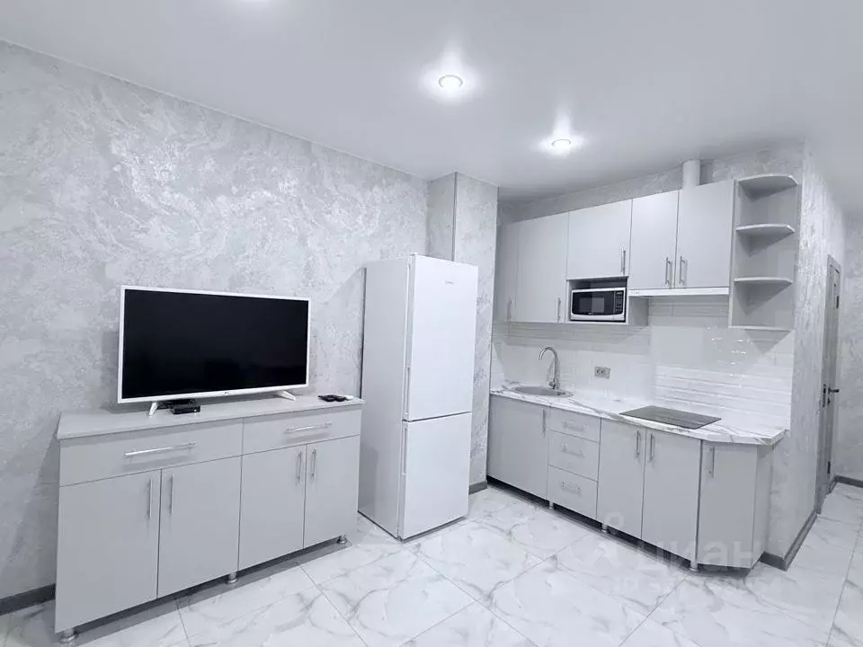 Студия Ростовская область, Ростов-на-Дону просп. Ленина, 46/2 (30.0 м) - Фото 2