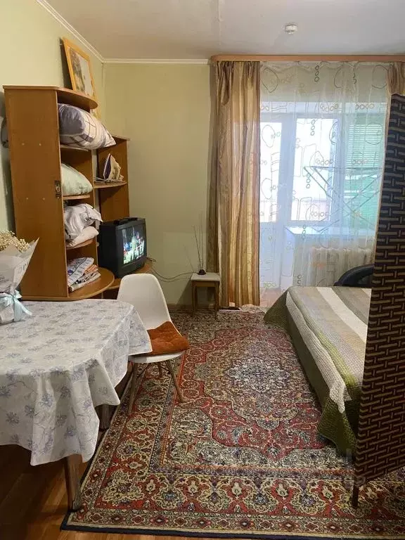 Студия Амурская область, Благовещенск Новая ул., 4 (30.0 м) - Фото 0