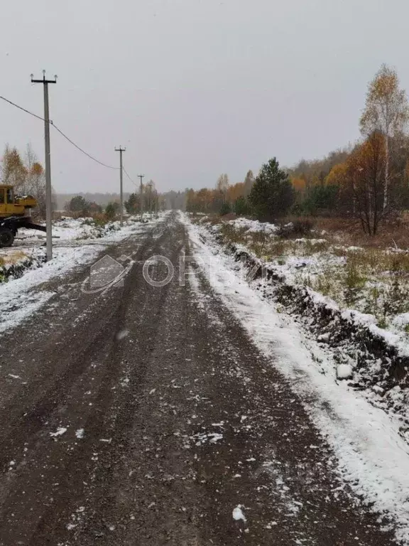 Участок в Тюменская область, Нижнетавдинский район, с. Тюнево  (7.0 ... - Фото 1