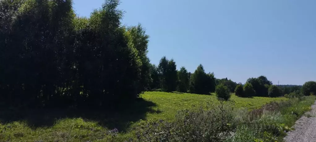 Участок в Ярославская область, Переславль-Залесский муниципальный ... - Фото 1