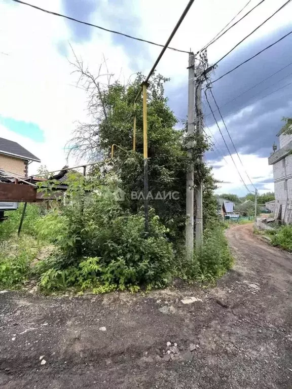 Участок в Нижегородская область, Нижний Новгород Подновье сл., 327 ... - Фото 1