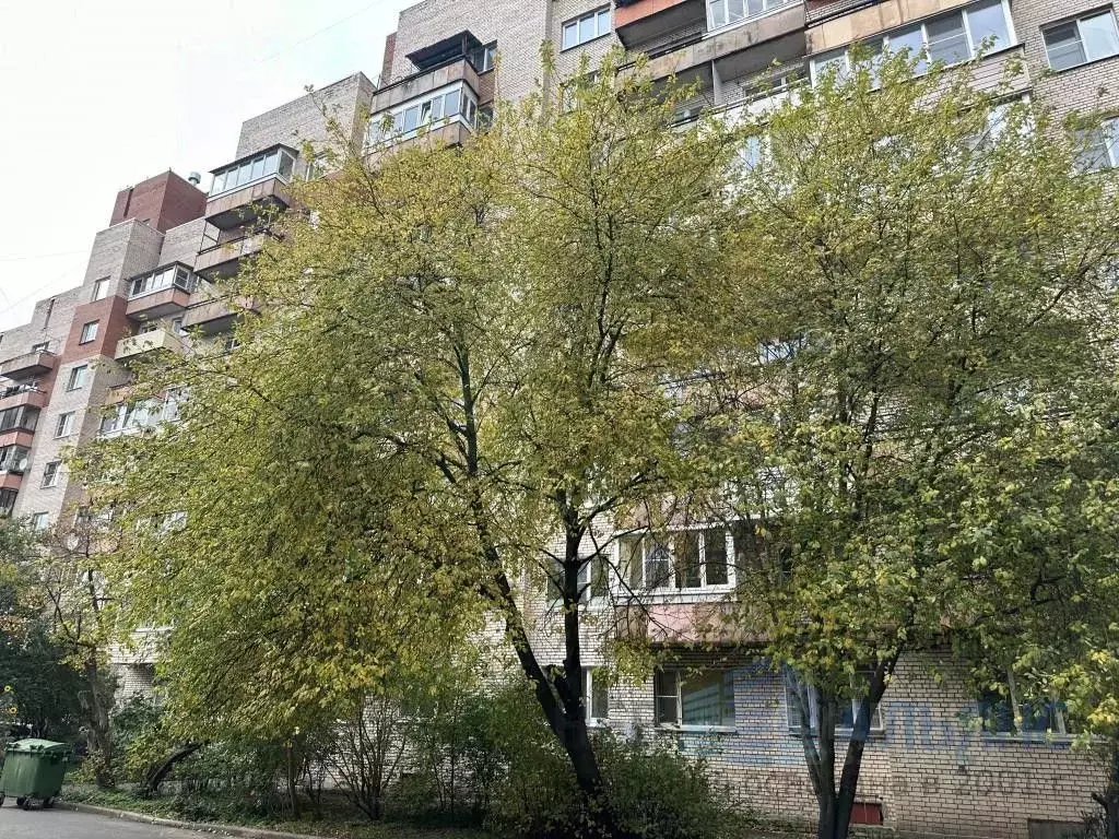 1-к кв. Санкт-Петербург ул. Чекистов, 38 (36.0 м) - Фото 0