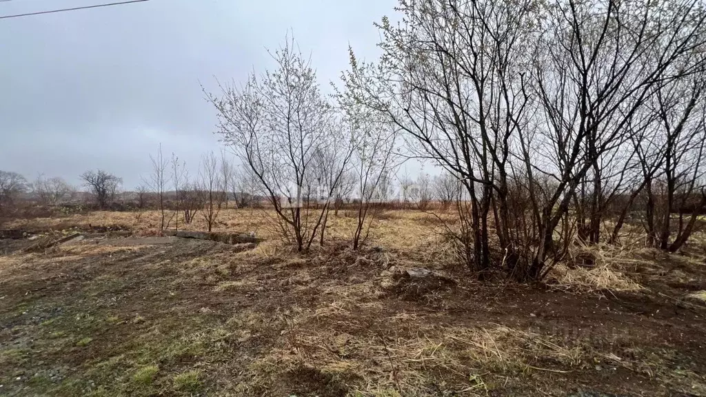 Участок в Сахалинская область, Анивский городской округ, с. Троицкое ... - Фото 0