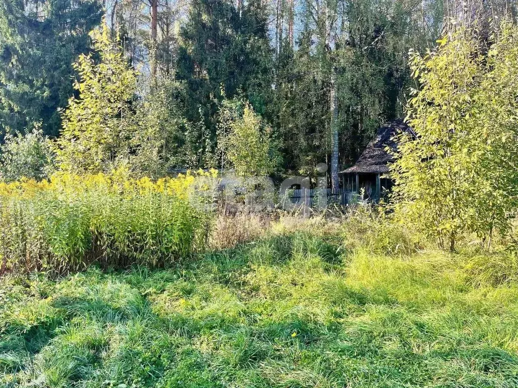 Участок в Костромская область, Костромской район, Самсоновское с/пос, ... - Фото 1