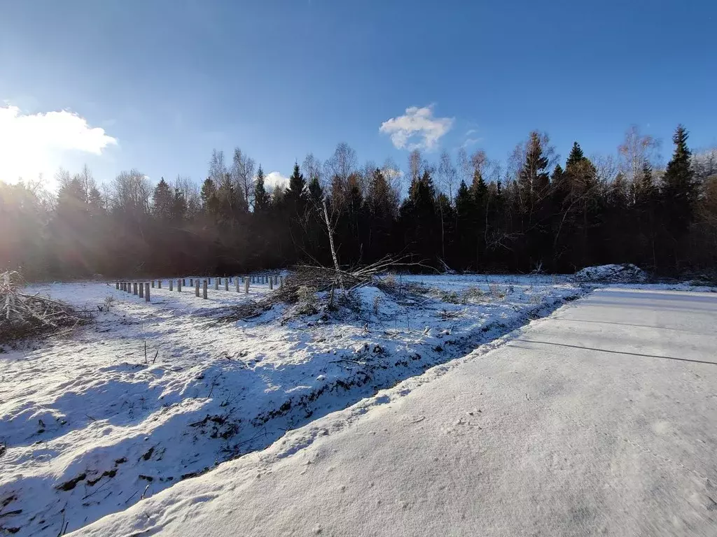 Участок в Московская область, Дмитровский муниципальный округ, д. ... - Фото 1