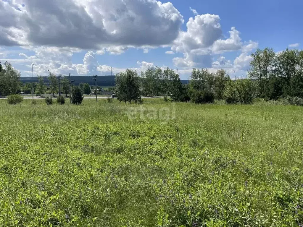 Участок в Красноярский край, Емельяново городское поселение, Василек ... - Фото 0