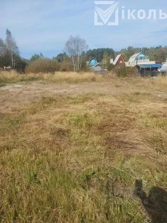 Купить Участок В Зверево Новая Москва