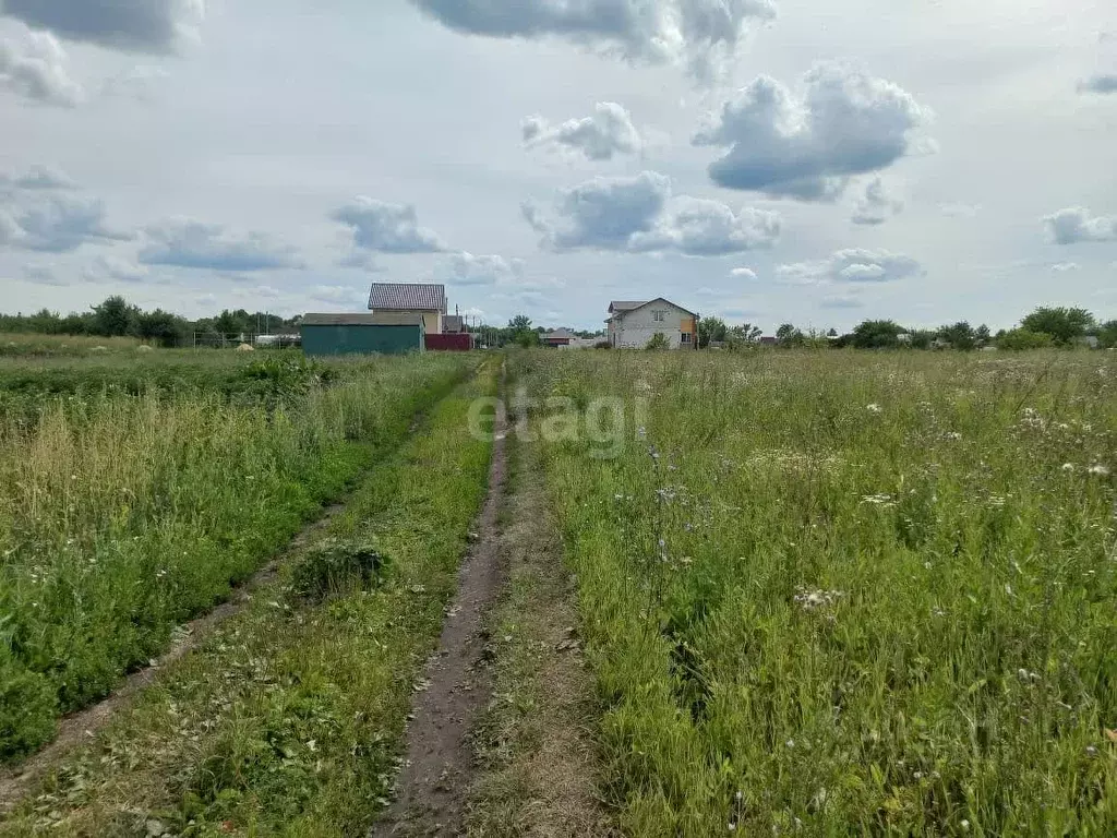 Участок в Мордовия, Лямбирский район, с. Александровка Пролетарская ... - Фото 1