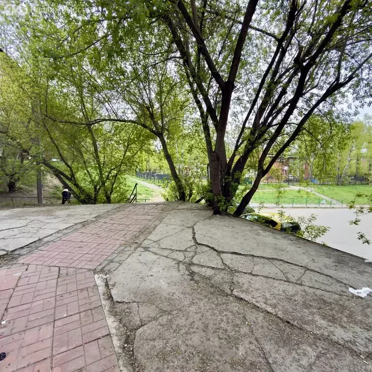 Помещение свободного назначения (54 м) - Фото 2