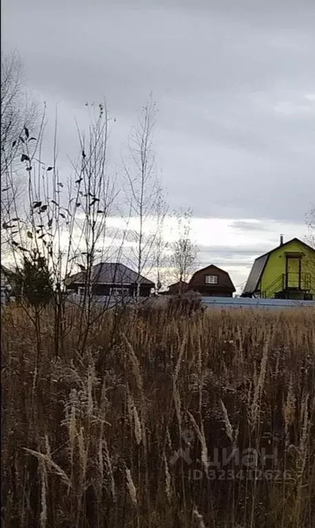 Участок в Нижегородская область, Нижний Новгород д. Кривая Шелокша,  ... - Фото 2