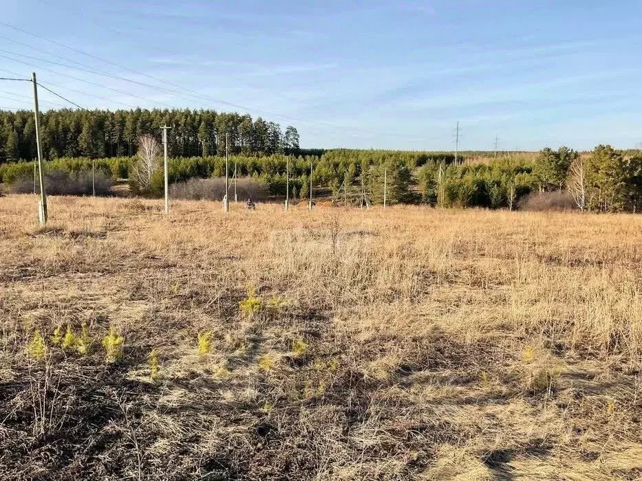 Участок в Алтайский край, Первомайский район, с. Бобровка ул. Жданова, ... - Фото 1