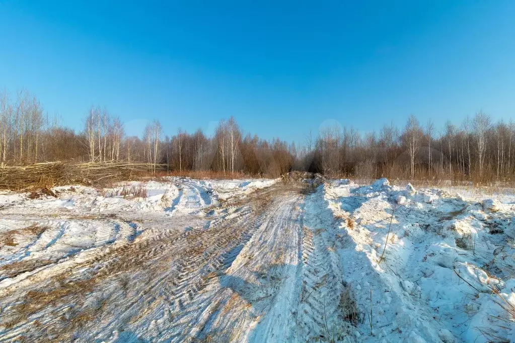 Участок 10 сот. (СНТ, ДНП) - Фото 1
