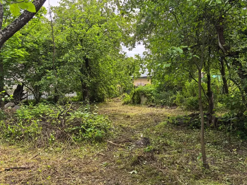 Участок в Московская область, Наро-Фоминский городской округ, Красная ... - Фото 1