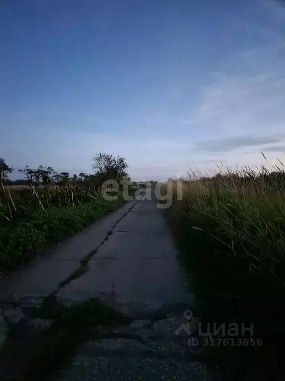 Участок в Коми, Сыктывдинский район, с. Выльгорт  (56.1 сот.) - Фото 0