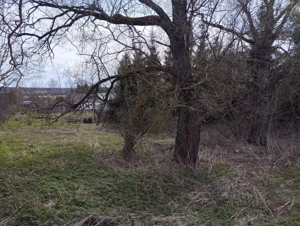 Участок в Московская область, Одинцовский городской округ, с. ... - Фото 1
