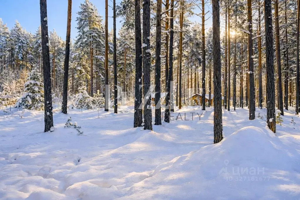 Участок в Ленинградская область, Приозерский район, Петровское с/пос, ... - Фото 2