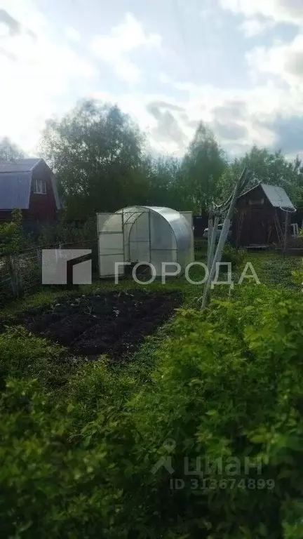 Дом в Новосибирская область, Новосибирск Надежда СНТ, 9 (40 м) - Фото 1